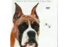 Compre o Dvd - O Boxer - Documentário