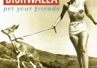 Compre aqui o Cd Dishwalla, Pet Your Friends