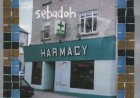 Cd Sebadoh, Harmacy (Importado USA)