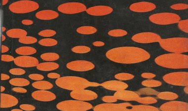 Compre aqui Livro - De Volta às Estrelas, Erich Von Daniken