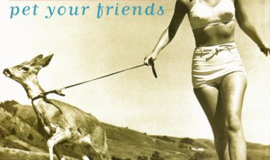 Compre aqui o Cd Dishwalla, Pet Your Friends