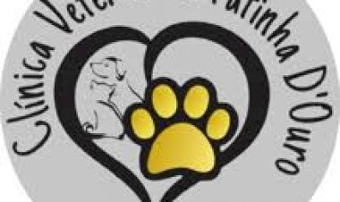 Clínica Veterinária e Centro Estético Patinha DOuro - Tatuapé. Atendimento humanizado. Whats  (11) 2225-3115