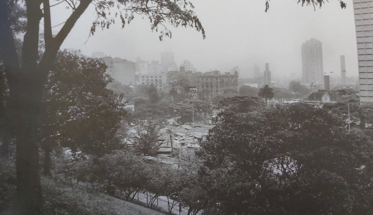1862 - Antes, Várzea do Carmo, depois, Parque Dom Pedro II (São Paulo)